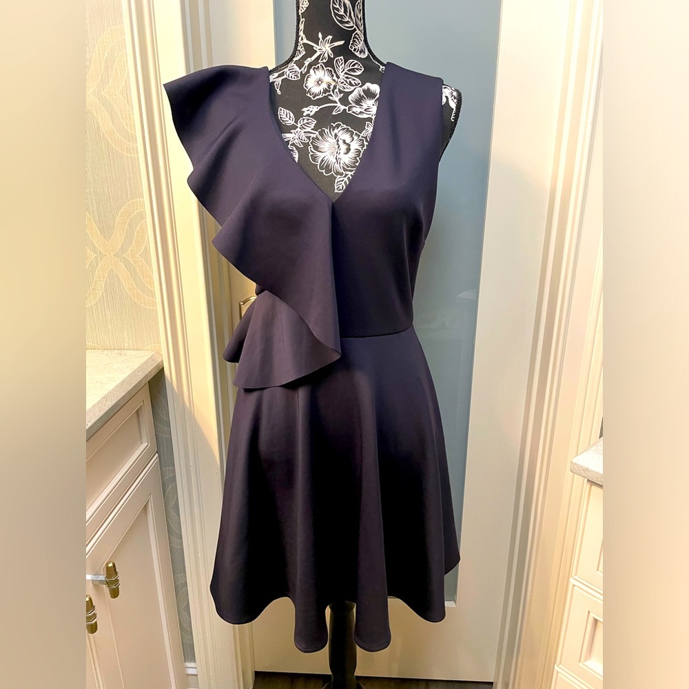 Ted Baker Ruffle Sleeve Dress